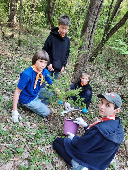 photo_8_2023-05-23_22-19-02